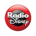 Rádio Disney - Brasil FM 91.3