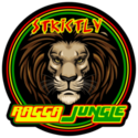 Strictly Ragga Jungle 100%