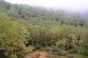 otanomo from Shinshu University Institute of Nature Education in Shiga Heights (Shiga Nature Education Park, Nagano)